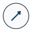 Circular Runout