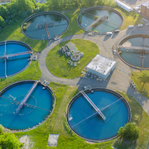 Environmental and Bioscience Sectors Environmental and Bioscience Sectors